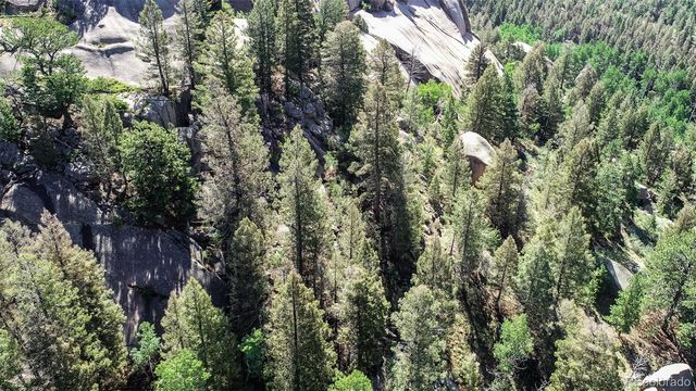 235 Hay Creek Road, Florissant, CO 80816