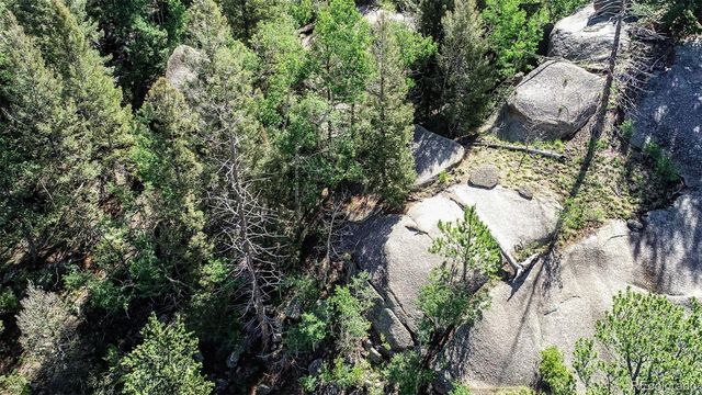 235 Hay Creek Road, Florissant, CO 80816