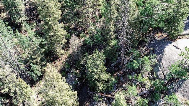 235 Hay Creek Road, Florissant, CO 80816