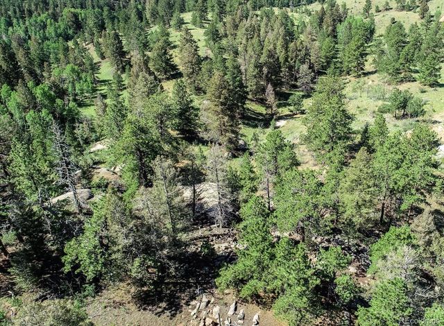 235 Hay Creek Road, Florissant, CO 80816