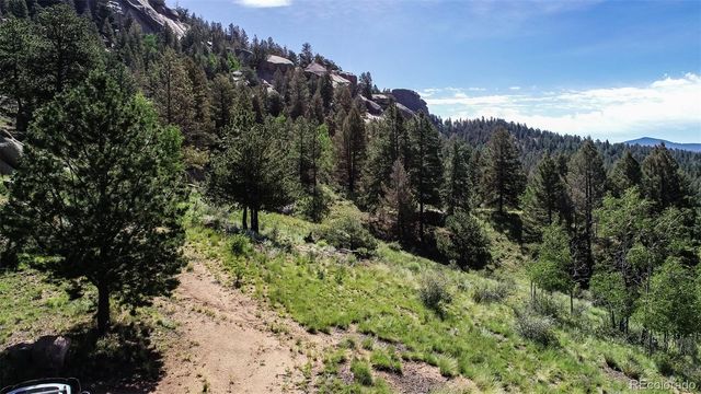 235 Hay Creek Road, Florissant, CO 80816