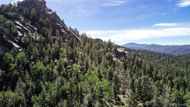 235 Hay Creek Road, Florissant, CO 80816