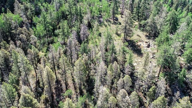 235 Hay Creek Road, Florissant, CO 80816