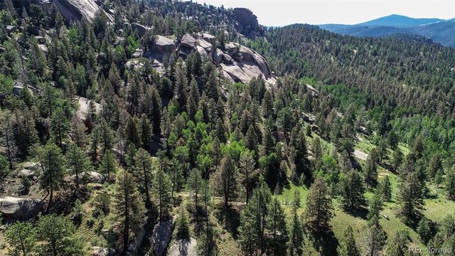 235 Hay Creek Road, Florissant, CO 80816