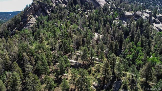 235 Hay Creek Road, Florissant, CO 80816
