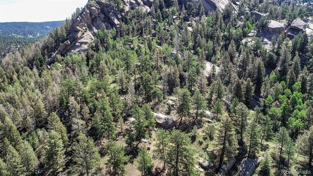 235 Hay Creek Road, Florissant, CO 80816