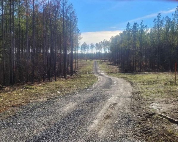 3203 Armstrong Ferry Road, Decatur, TN 37322