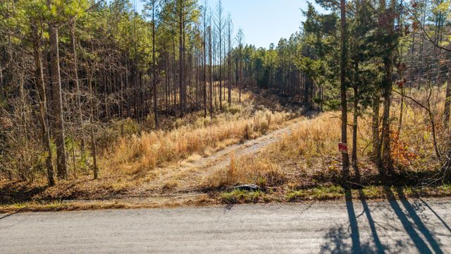 3203 Armstrong Ferry Road, Decatur, TN 37322