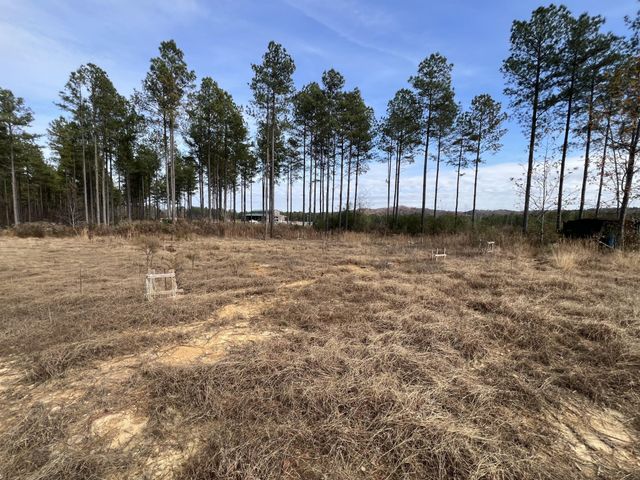 3203 Armstrong Ferry Road, Decatur, TN 37322