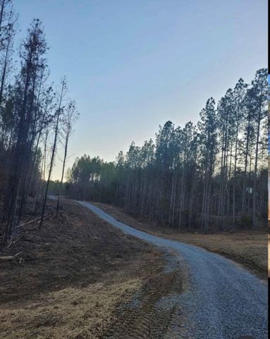 3203 Armstrong Ferry Road, Decatur, TN 37322