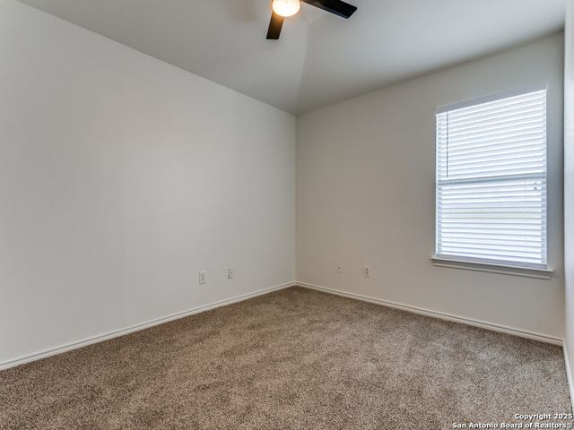 3626 Cotoneaster, San Antonio, TX 78261