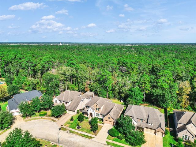 31407 Imperial Bluff Court, Spring, TX 77386