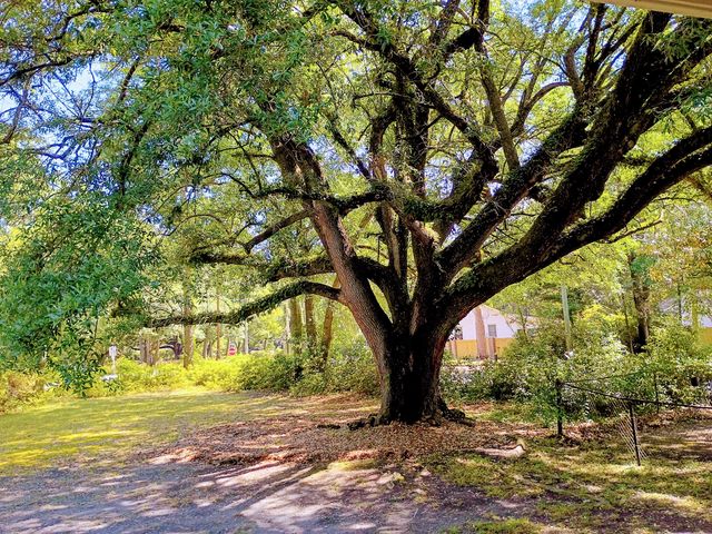 100 Old Country Club Road, Summerville, SC 29483