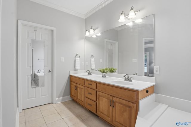 128 Spearpoint Lane, Meridianville, AL 35759