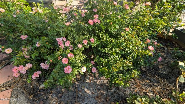 6881 Beckman Circle SW, Ocean Isle Beach, NC 28469