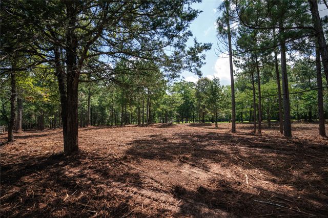 11041 Fm 1774, Plantersville, TX 77363