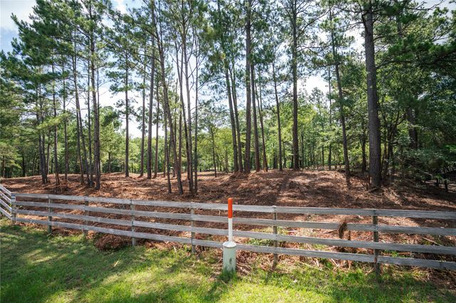11041 Fm 1774, Plantersville, TX 77363