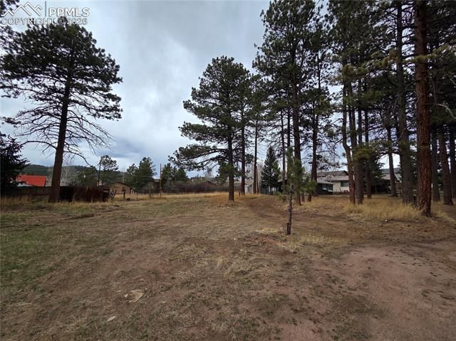 224 S Fairview Street, Woodland Park, CO 80863