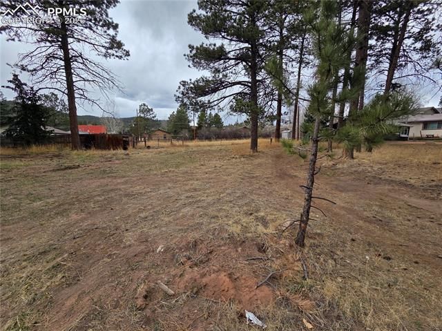224 S Fairview Street, Woodland Park, CO 80863