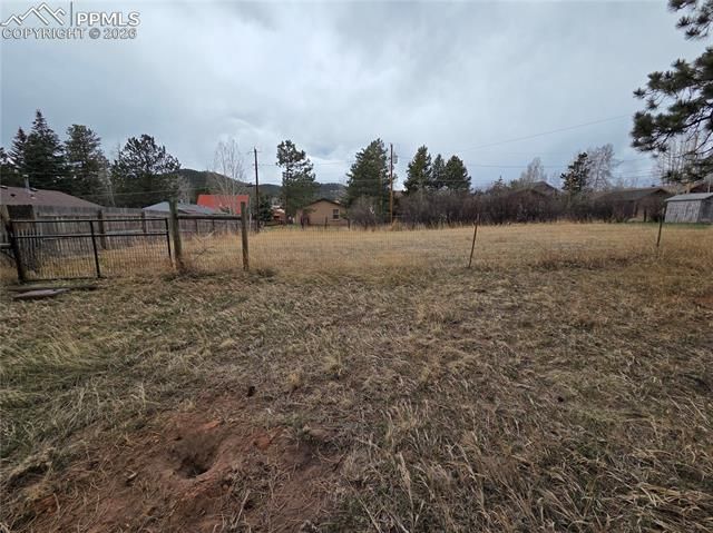 224 S Fairview Street, Woodland Park, CO 80863
