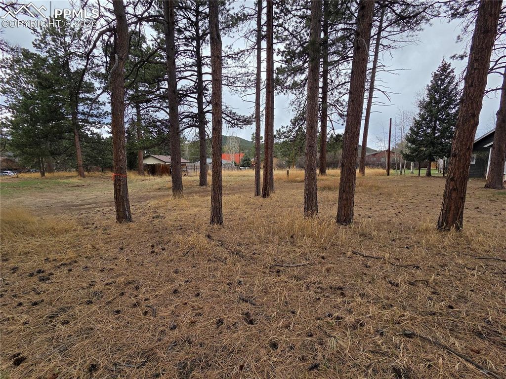 224 S Fairview Street, Woodland Park, CO 80863