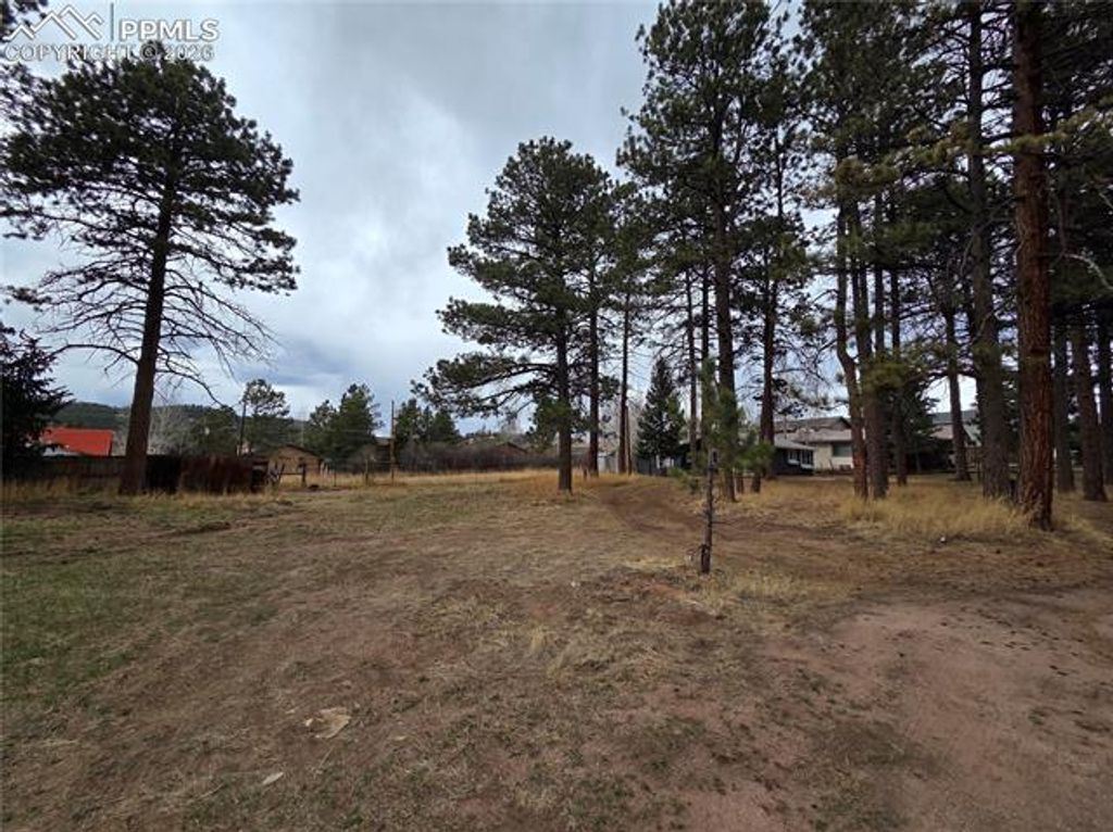 224 S Fairview Street, Woodland Park, CO 80863 — photo 2