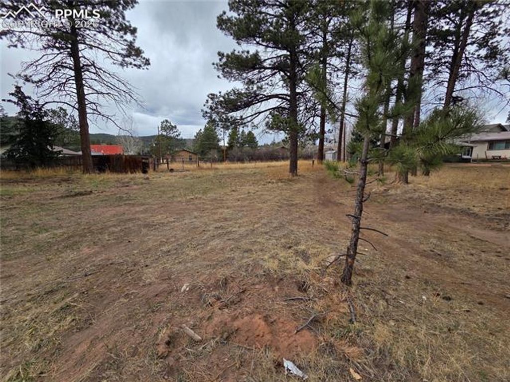 224 S Fairview Street, Woodland Park, CO 80863 — photo 3