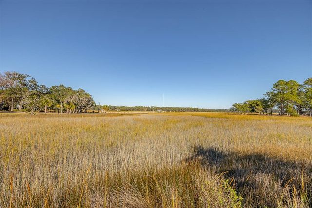 1088 Fiddler Trace, Townsend, GA 31331