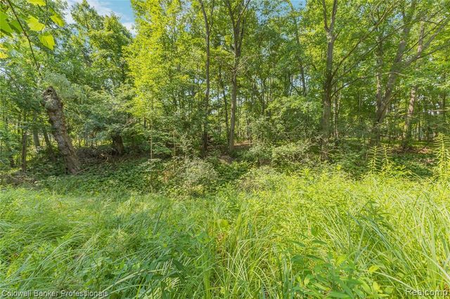23161 Valley View Drive, Southfield, MI 48033