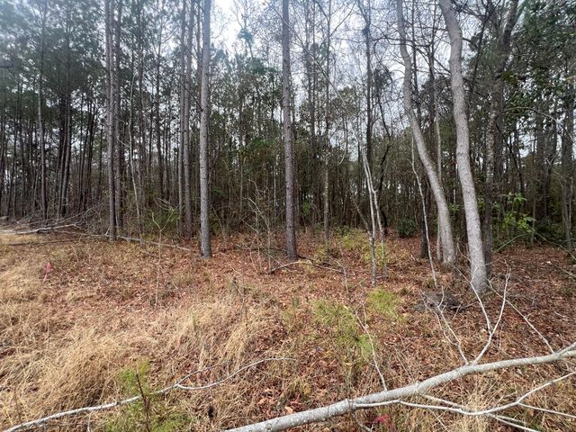 000 Hunters Ridge Lane, North Charleston, SC 29420