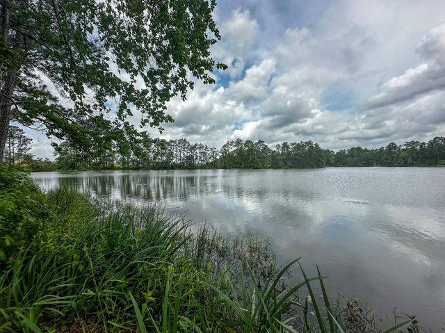 6209 Alder Creek, Montgomery, TX 77316