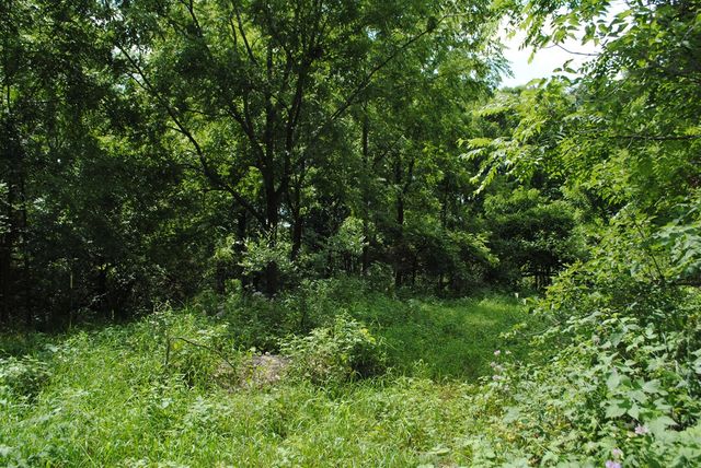 3199 Luna Drive, Dexter, MI 48130