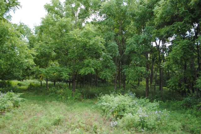 3199 Luna Drive, Dexter, MI 48130