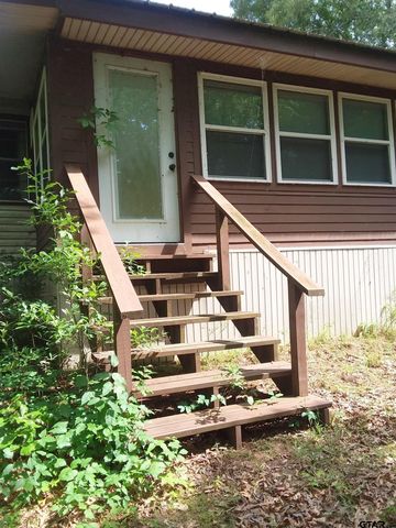 TBD County Road 4838, Winnsboro, TX 75494