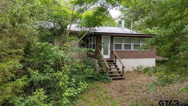 TBD County Road 4838, Winnsboro, TX 75494