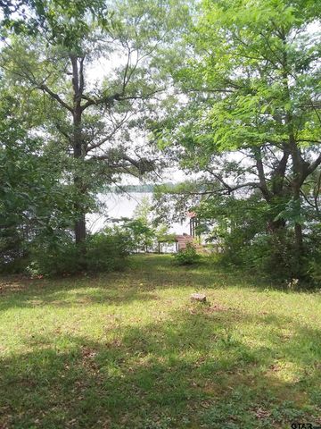 TBD County Road 4838, Winnsboro, TX 75494