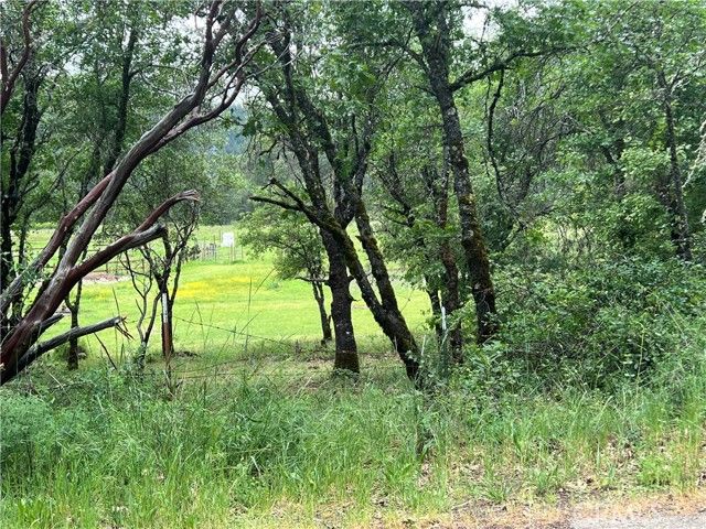 8734 Sulphur Creek Road, Kelseyville, CA 95451