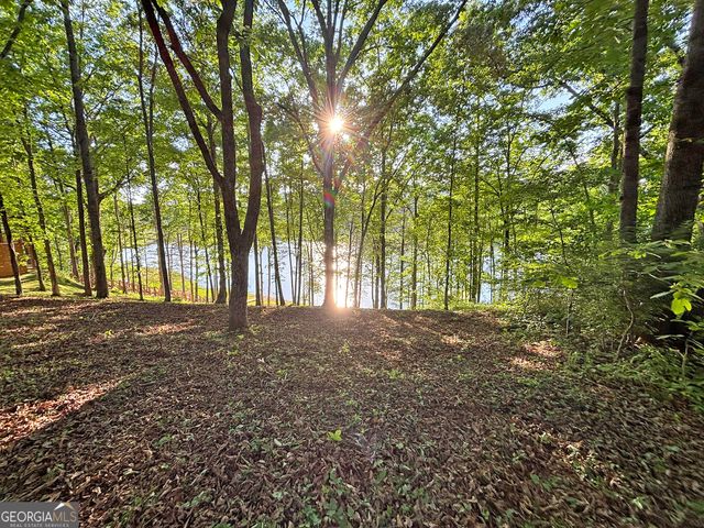 LOT 5 Walnut Rd, Blairsville, GA 30512