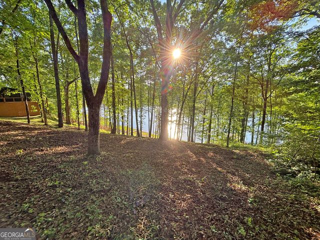 LOT 5 Walnut Rd, Blairsville, GA 30512