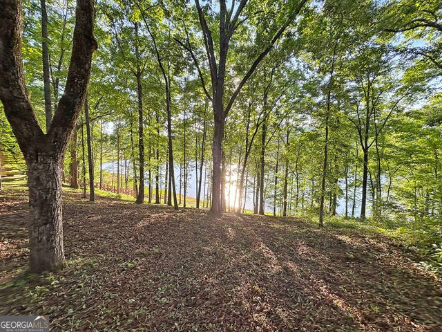 LOT 5 Walnut Rd, Blairsville, GA 30512