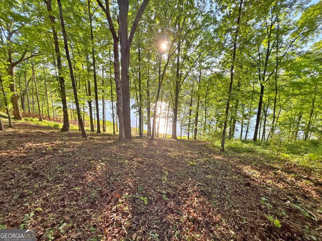 LOT 5 Walnut Rd, Blairsville, GA 30512
