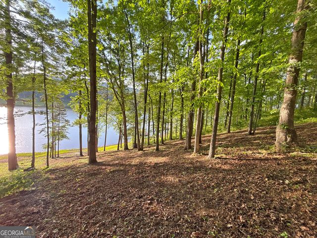 LOT 5 Walnut Rd, Blairsville, GA 30512