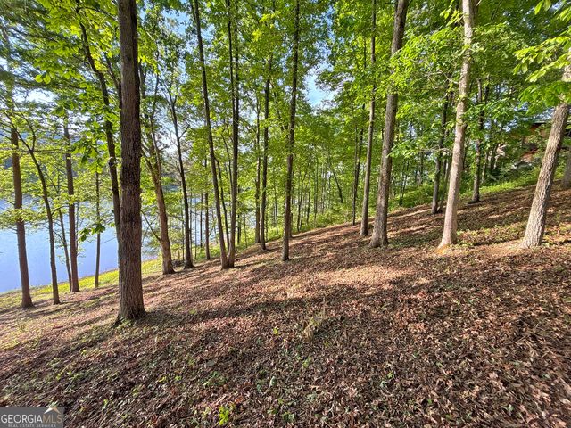 LOT 5 Walnut Rd, Blairsville, GA 30512