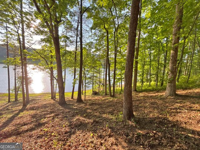 LOT 5 Walnut Rd, Blairsville, GA 30512