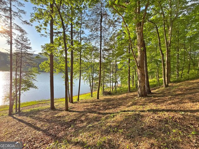 LOT 5 Walnut Rd, Blairsville, GA 30512