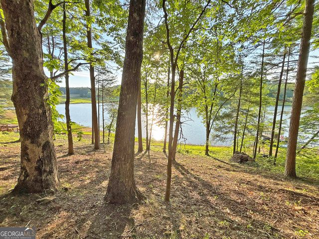 LOT 5 Walnut Rd, Blairsville, GA 30512