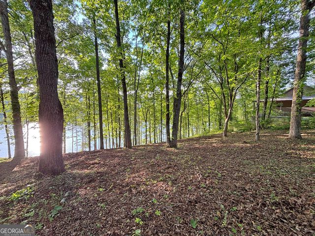LOT 5 Walnut Rd, Blairsville, GA 30512