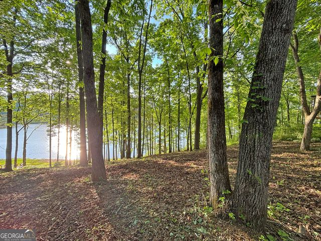 LOT 5 Walnut Rd, Blairsville, GA 30512