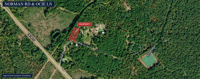 211 Norman Road, Point Blank, TX 77364