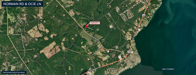 211 Norman Road, Point Blank, TX 77364